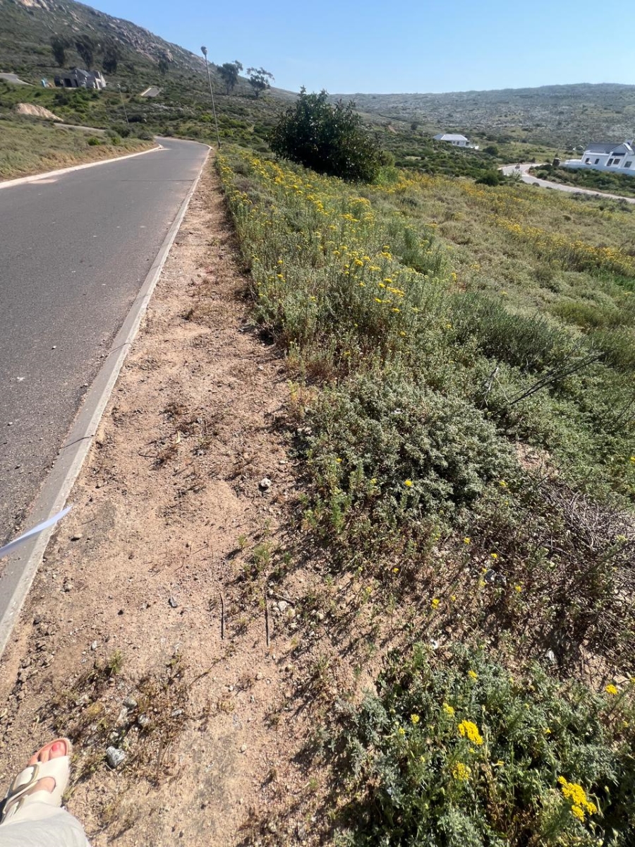 Commercial Property for Sale in Steenbergs Cove Western Cape